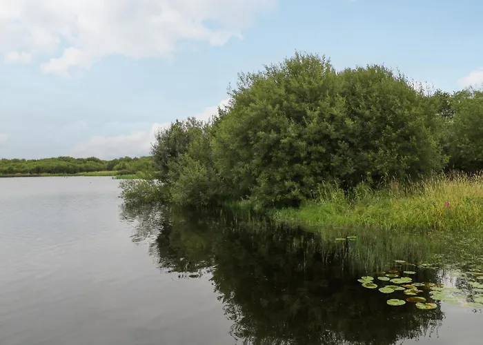Canal Ferienhaus Drumshanbo